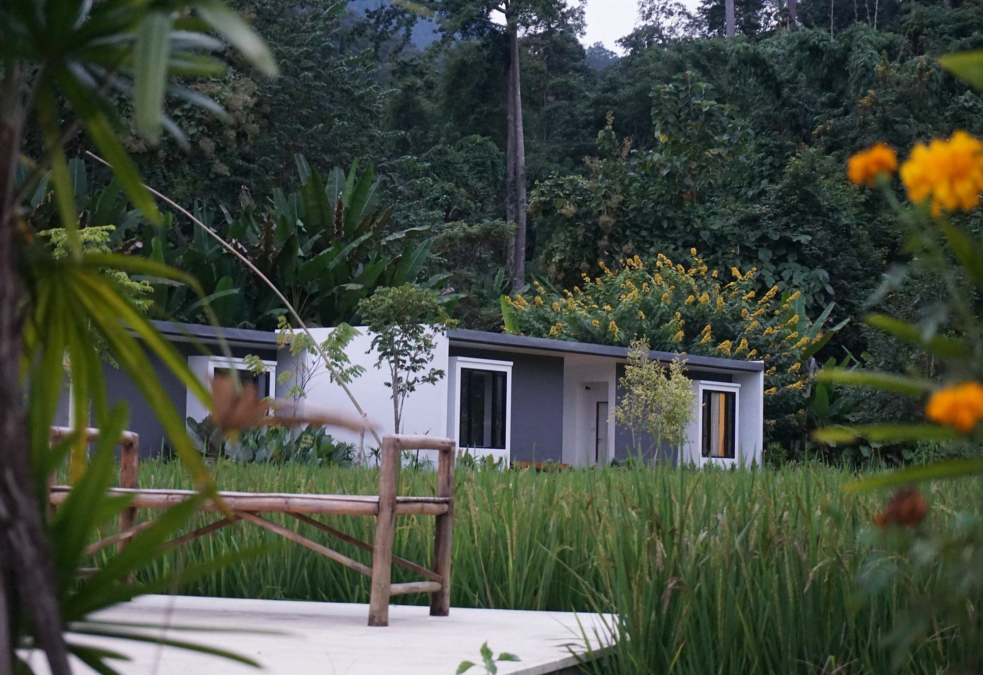 Villa De View Chiang Dao Eksteriør billede