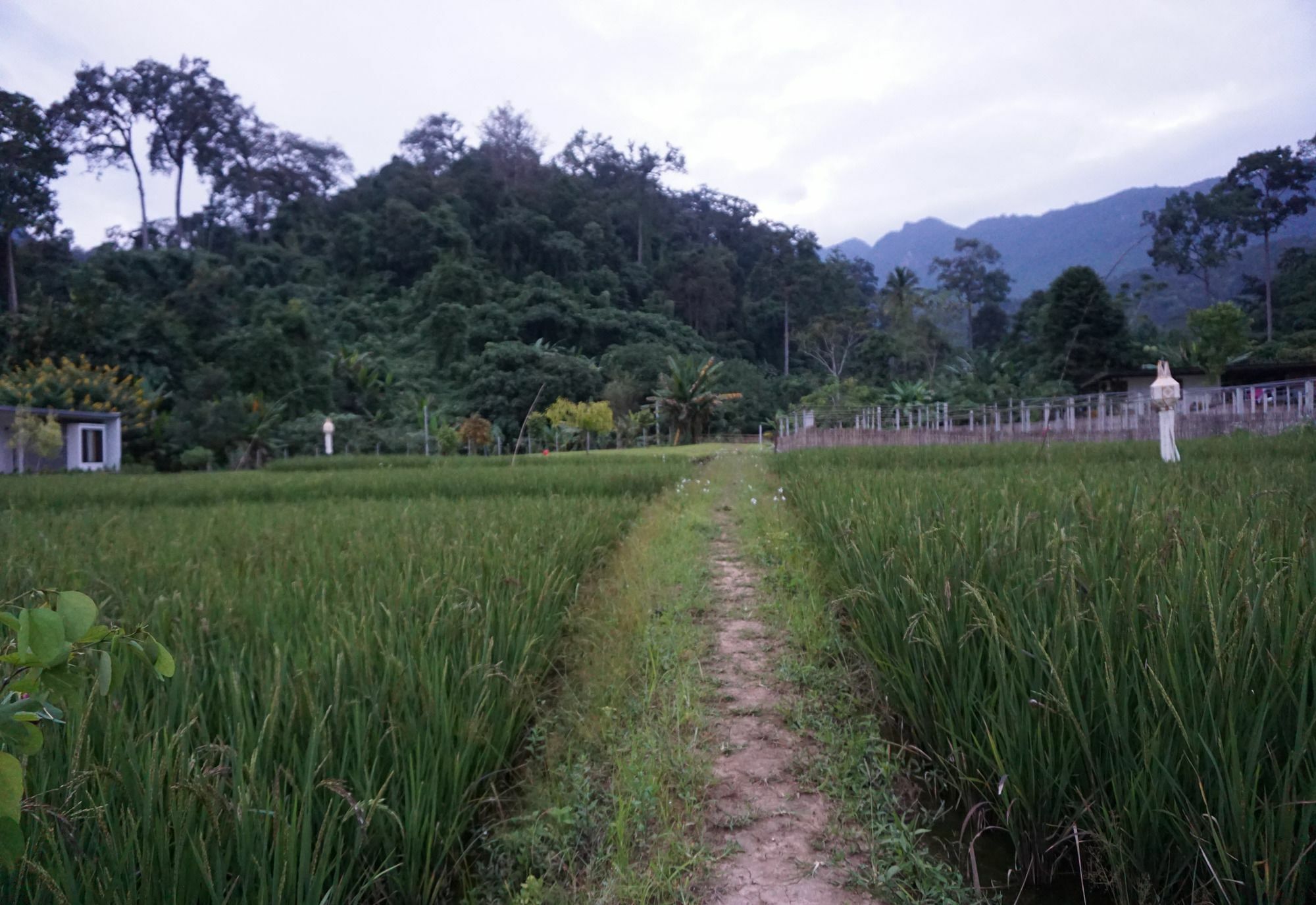 Villa De View Chiang Dao Eksteriør billede